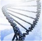 Desulfurization and Denitrification